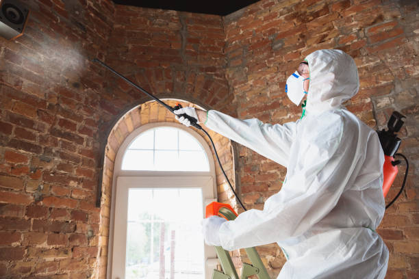 Mold Remediation for Rental Properties in Sea Cliff, NY